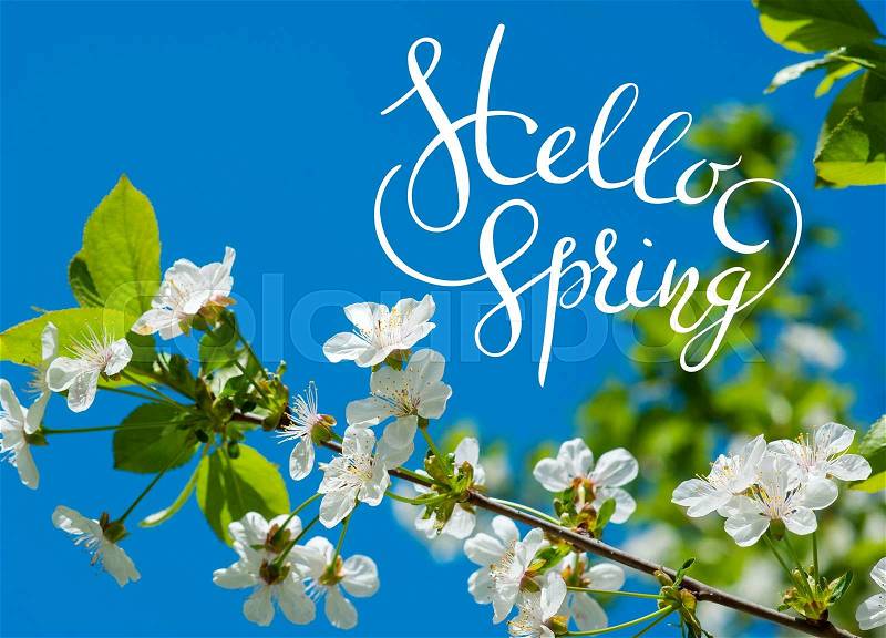 Blossoming apple-tree on background of green grass with letters Hello sprint, stock photo