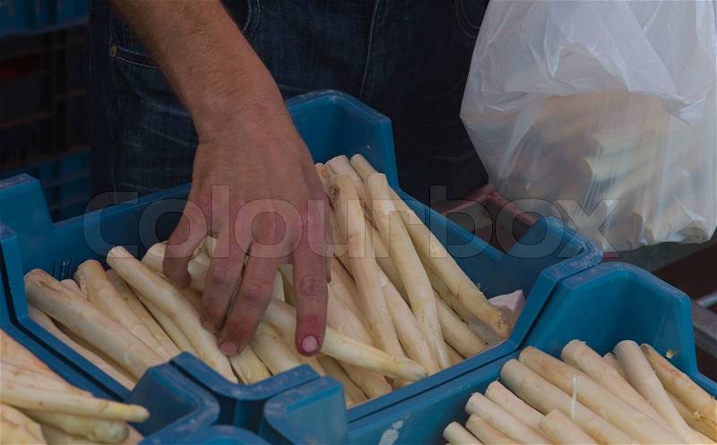 Man puts white asparagus in a bag on a market, stock photo