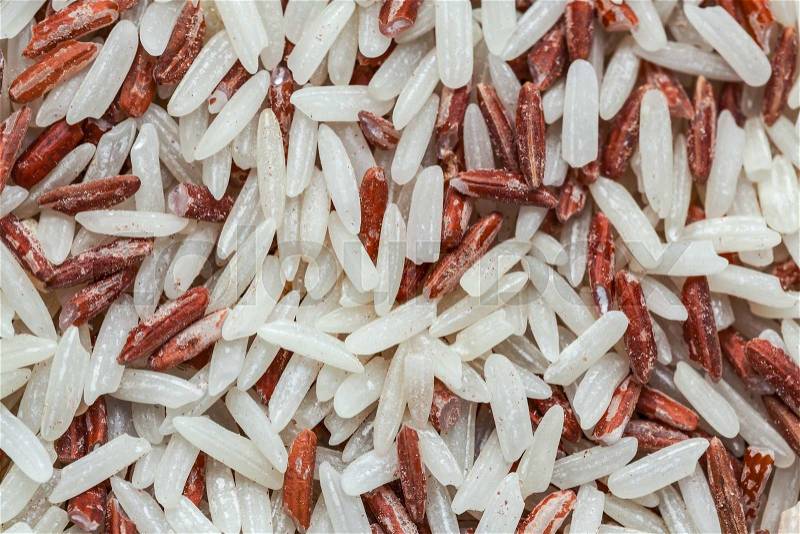 Brown Rice, destroyed by Red flour beetle, science names \