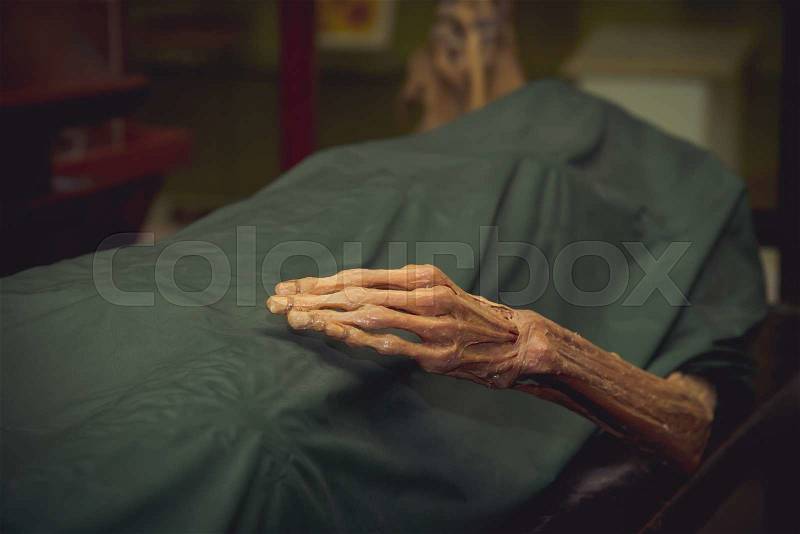 The dead body, Focus on hand decay, stock photo