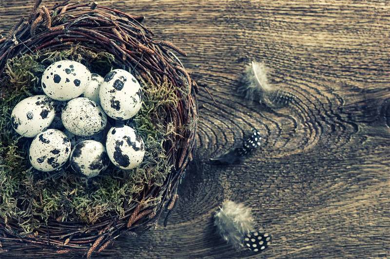 Birds eggs in nest over rustic wooden background. Vintage style toned picture, stock photo