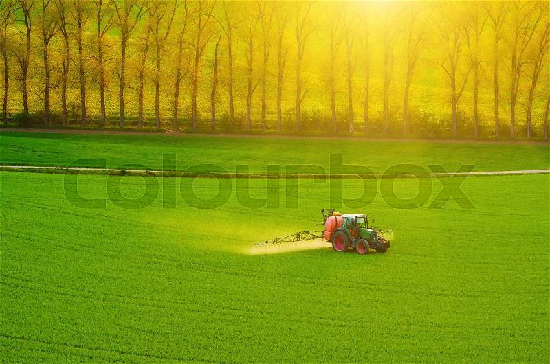 Farm machinery spraying insecticide to the green field, agricultural natural seasonal spring background, stock photo