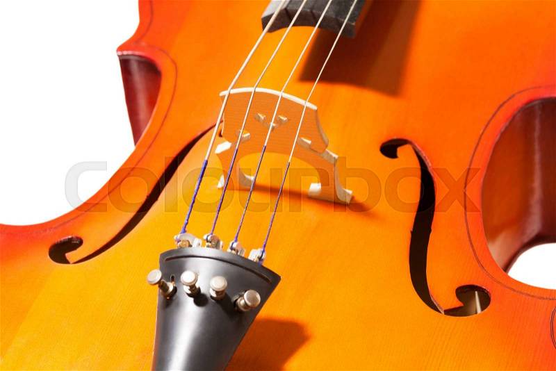 Close-up of cello body with bridge and F-holes on white background, stock photo