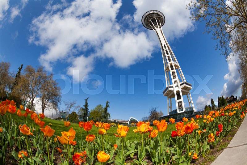 Space needle tower with orange tulips view from below in Seattle, Washington USA, stock photo