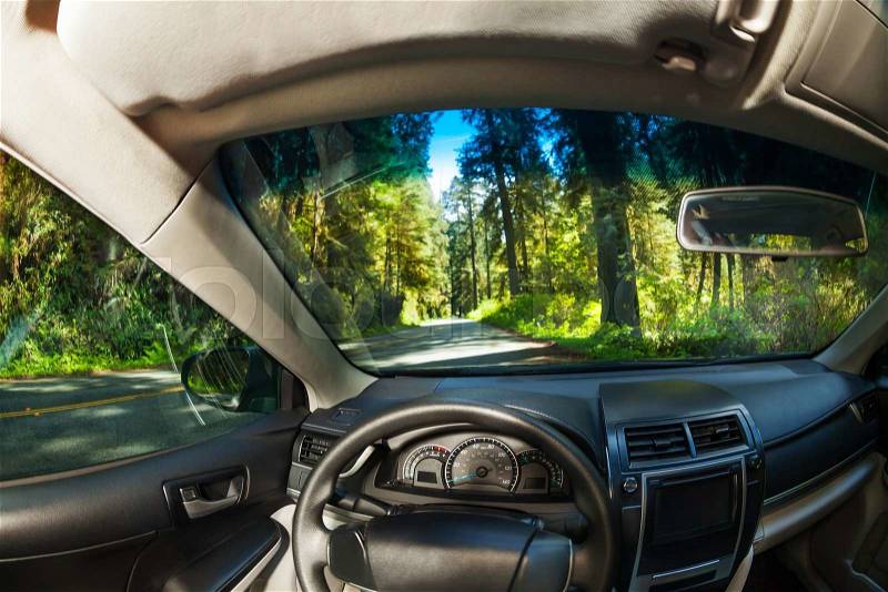 View inside the car with beautiful forest view of Redwood during summer in California, stock photo