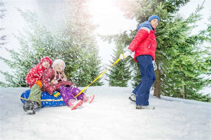 Children sitting on snow tube and other boy pulling them in winter during day in the fir tree forest, stock photo