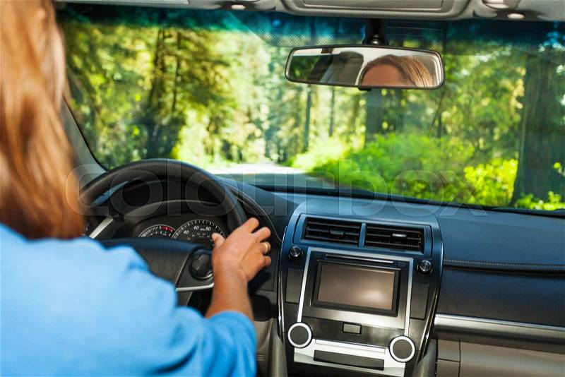 Driving woman inside the car with beautiful forest view of Redwood during summer in California, stock photo