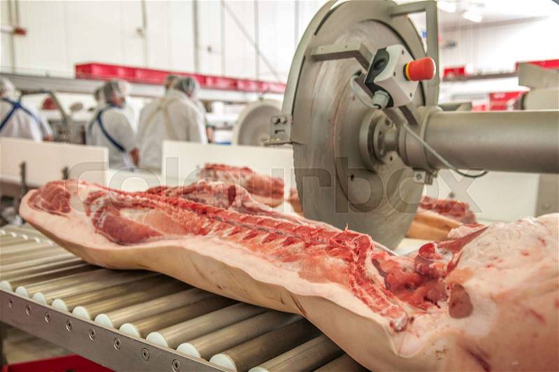 Close up of meat processing in food industry, stock photo