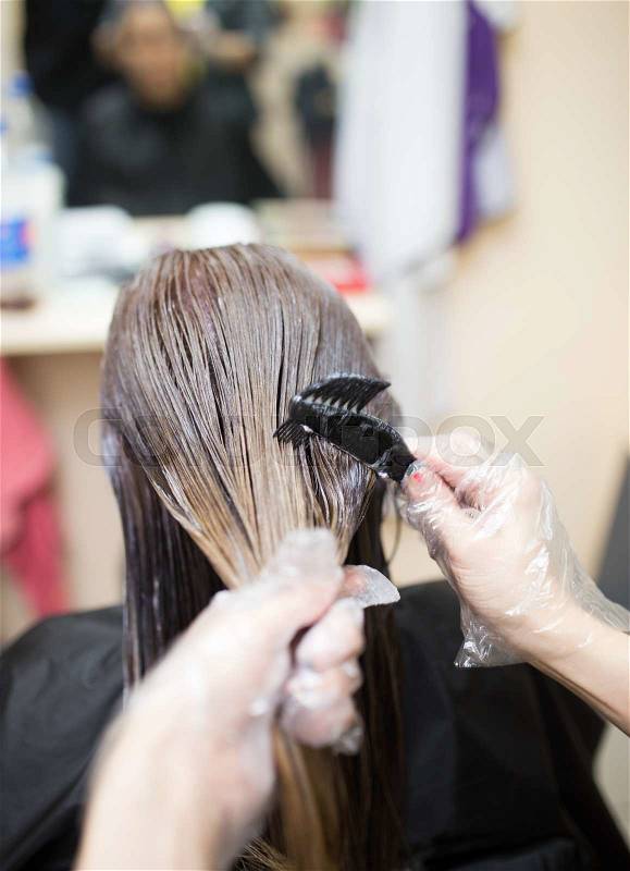 Hair coloring in the beauty salon, stock photo