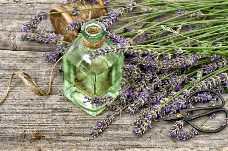 Herbal lavender oil with fresh flowers bouquet. Alternative medicine concept, stock photo
