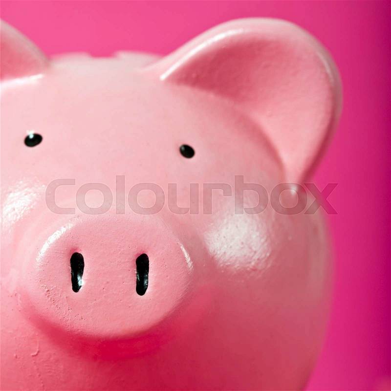 Close up of piggy bank nose, pink background, stock photo