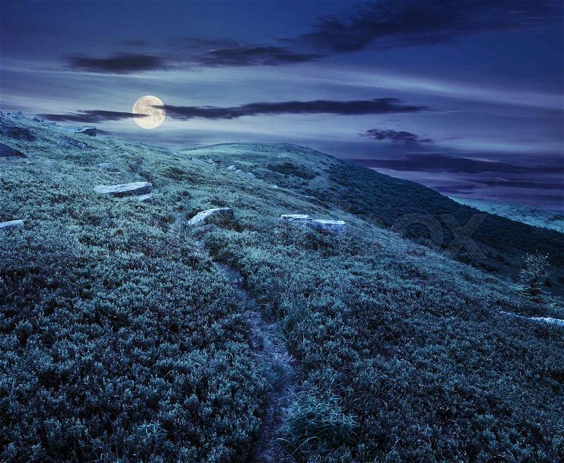 Path through hillside with huge white sharp boulders near mountain peak at night in full moon light, stock photo