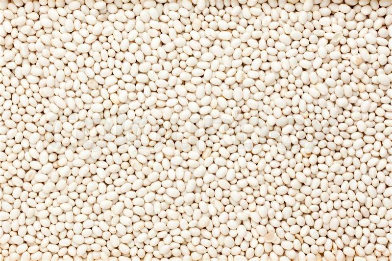 Background of white navy beans, stock photo