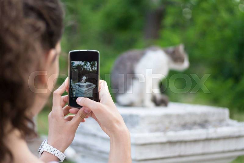 Woman takes pictures of gray cat on the phone in the park, stock photo