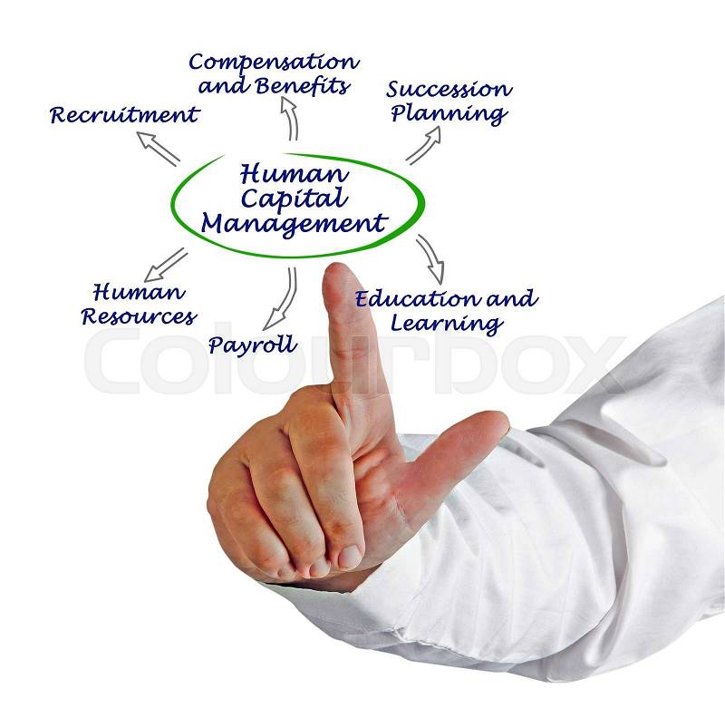 Diagram of Human Capital Management, stock photo