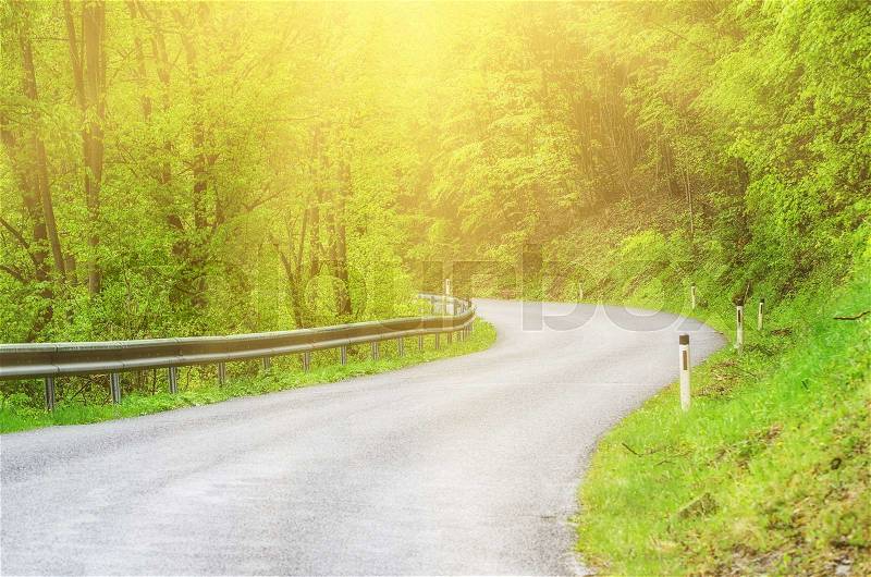 Curved asphalt auto sunny road in the spring green forest, natural outdoor travel background, stock photo