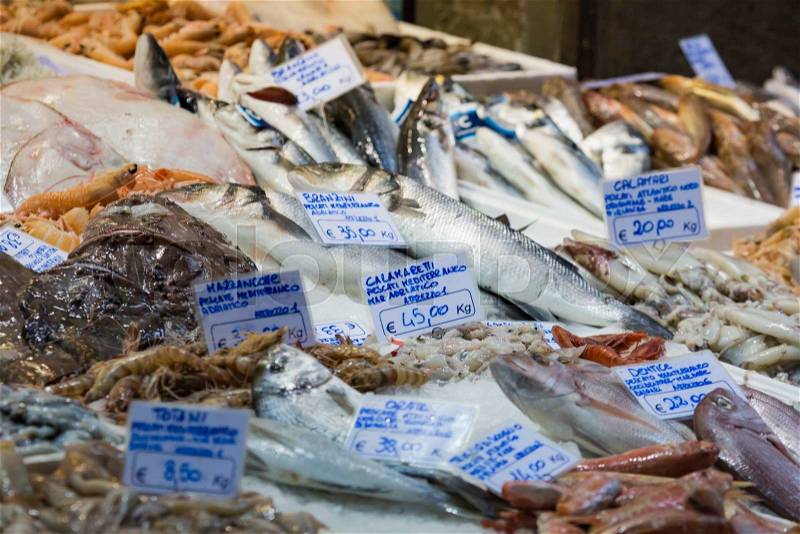 Bologna fresh fish market, Italy. , stock photo