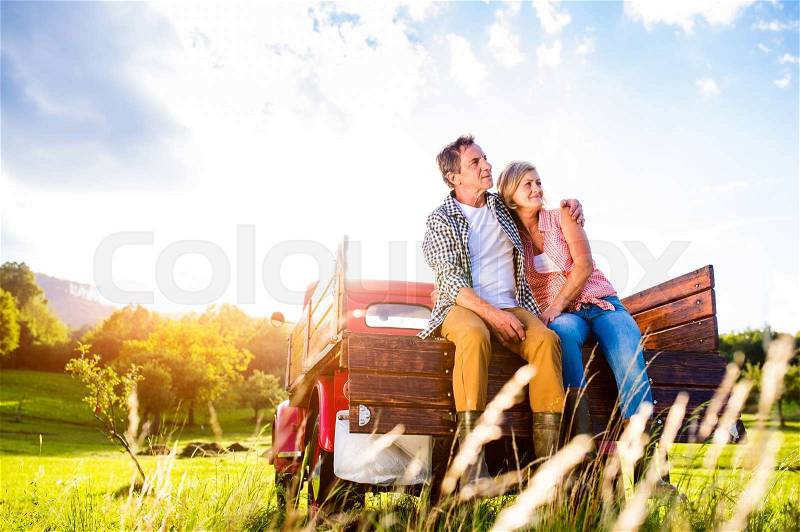 Senior couple sitting in back of vintage red pickup truck, hugging, green sunny nature, stock photo