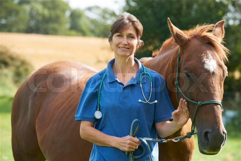 Portrait Of Female Vet In Field With Horse, stock photo