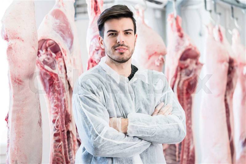 Worker in butchery standing in front of carcasses ready for meat processing, stock photo