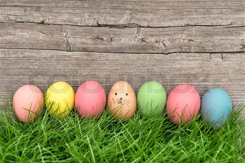 Easter eggs and cute bunny. Funny holidays decoration, stock photo