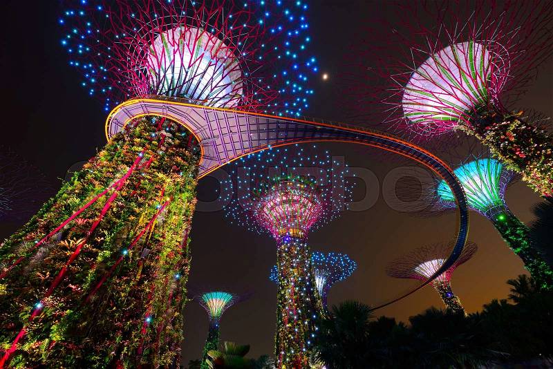 Supertree garden at night, garden by the bay in Singapore, stock photo