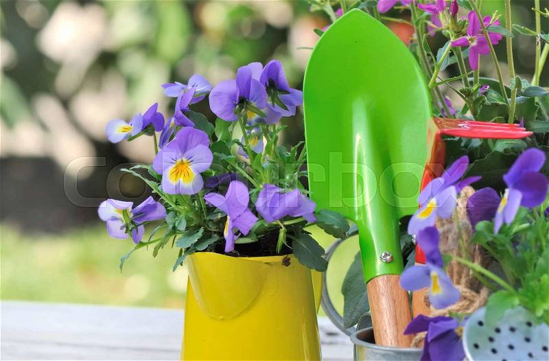 Colorful gardening tools among purple flowers on a garden table , stock photo