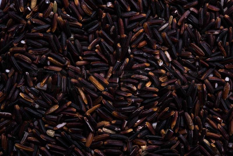 Natural black rice grains macro shot. Food texture, stock photo