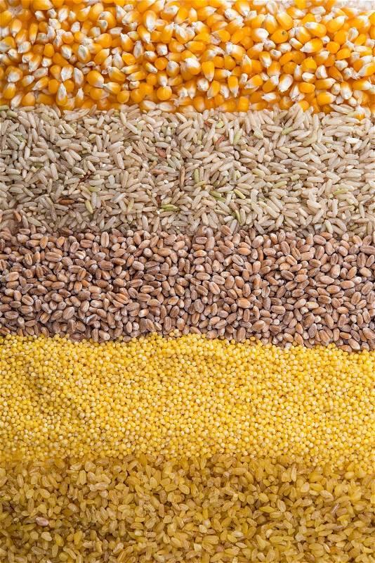 Collection Set of Cereal Grains: Wheat, Barley, Oat, Corn, Millet, Rice, Buckwheat, closeup , stock photo