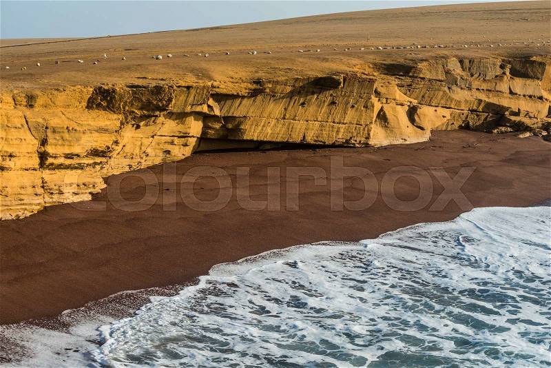 Paracas National Reserve. The very first Marine Conservation center in Peru, refer to the prolific wildlife and the great scenery as the \