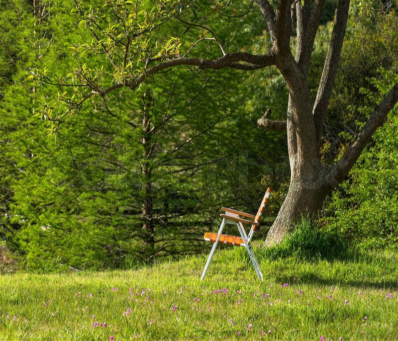 Folding chair standing under the spring ceiba tree on a hill, Maldonado, Uruguay, stock photo