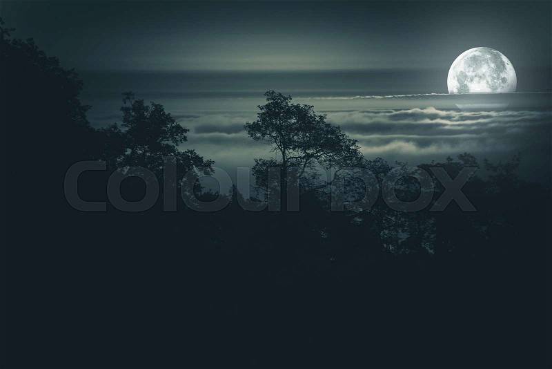 Full Moon Night. Moon Light Above Foggy Valley. Scenic Night Time Landscape. Full Moon Night Background, stock photo