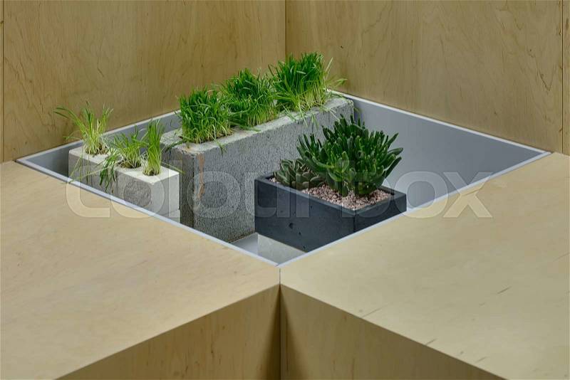 Plants in a pot, green grass in a concrete block and in the bricks are in the gray niche between the light wooden benches. Horizontal. , stock photo