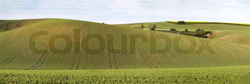 Green spring hills. Arable lands in Czech Moravia. April, stock photo