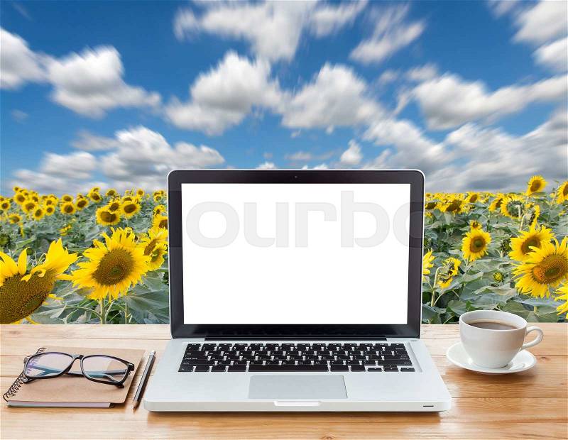 Laptop computer and coffee on sunflower field background, stock photo