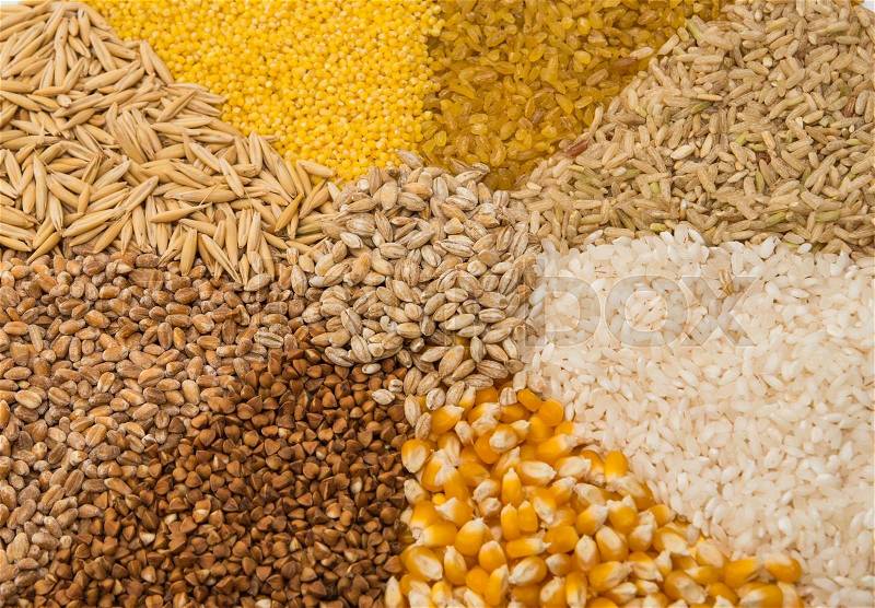 Collection Set of Cereal Grains: Wheat, Barley, Oat, Corn, Millet, Rice, Buckwheat, closeup, stock photo
