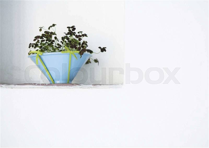 Plants and Herbs Interior Decoration, stock photo
