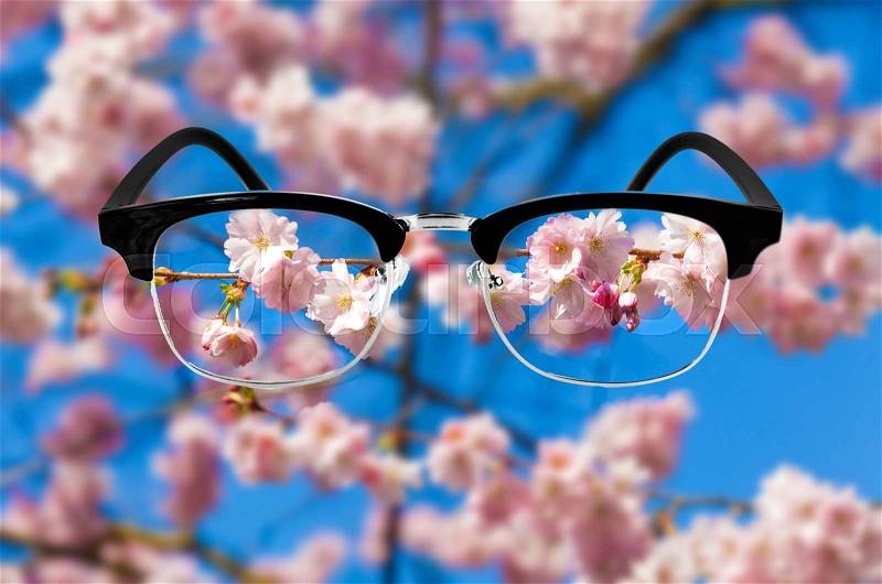 Cherry blossom, Optic health care concept. Medical optics concept with glasses. vision glasses, stock photo