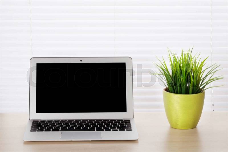 Office workplace with laptop and plant on wooden desk table in front of window with blinds, stock photo