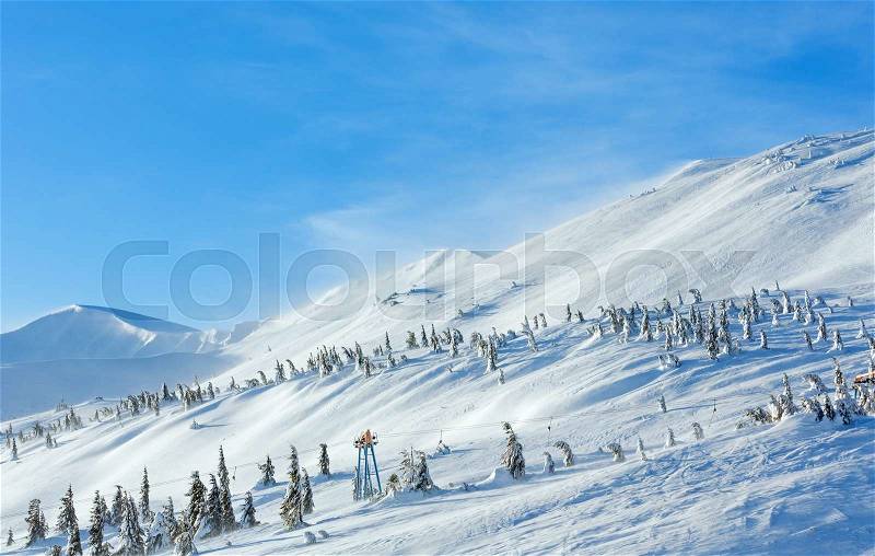 Icy snowy fir trees and ski lift on winter morning hill (Carpathian), stock photo