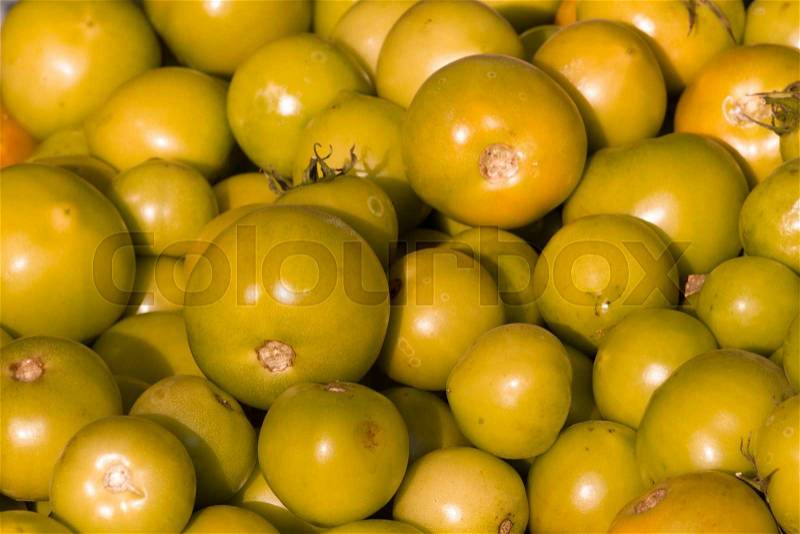 Background of group of immature tomato market. Agriculture , stock photo