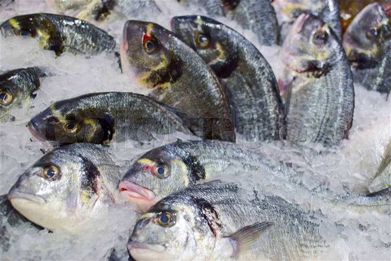 Chilled fishes with ice in the market, stock photo