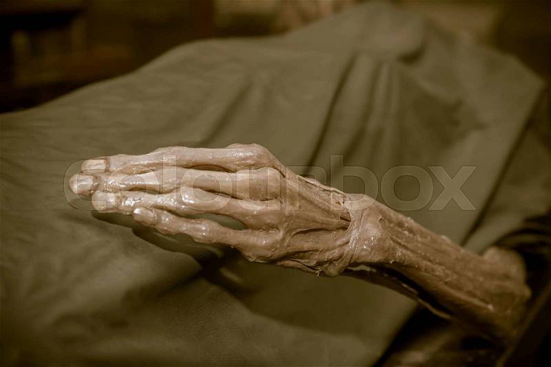 The dead body, Focus on hand decay, stock photo
