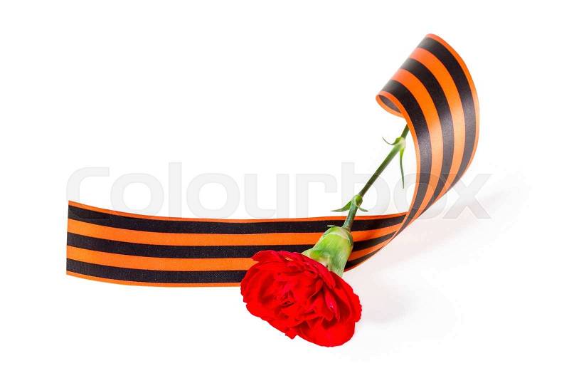 Red Carnation with ribbon St. George. isolated on white background, stock photo