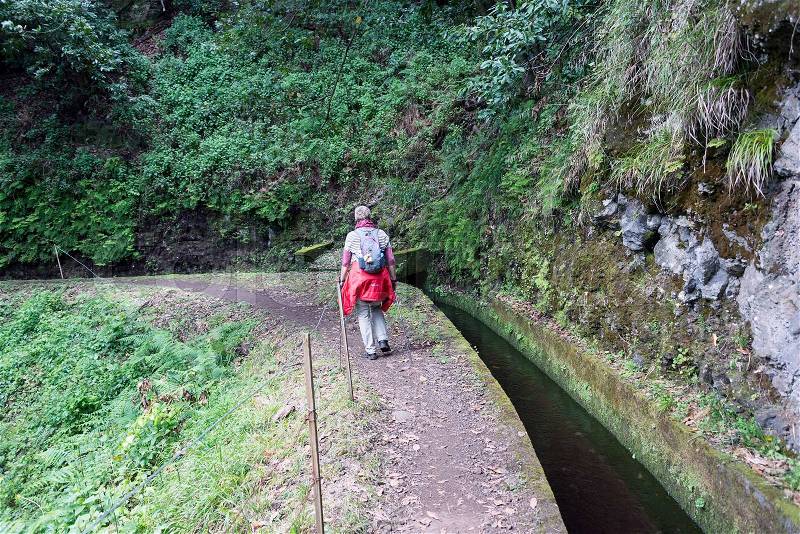 Woman walking on levade walking track on the portugal island of Madeira, this is Lamaceiros Ribeira da Janala, stock photo