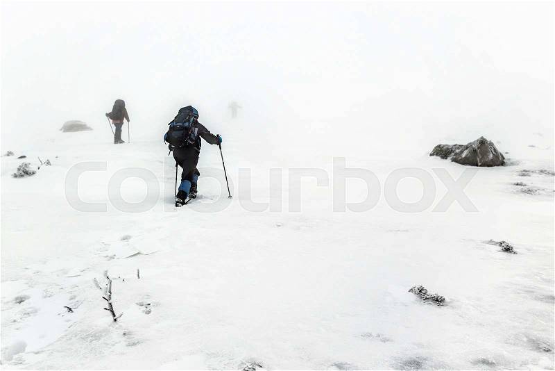 Mountain hiking group with backpacks and trekking poles having hard climbing trip in winter snow storm, stock photo