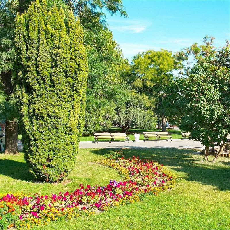 Green sunny garden in city park with flowers and trees , stock photo