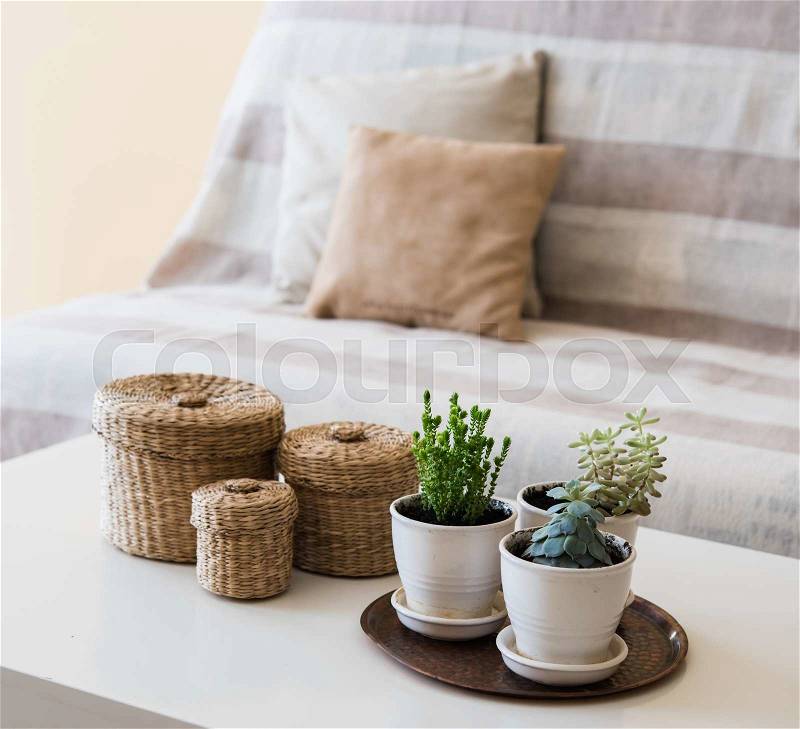 Cozy vintage home decoration: green plants and decorative wicker boxes on a table by the sofa with pillows, living room interior, stock photo