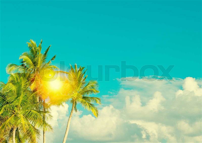 Green palm tree and sunny blue sky. Summer holidays. Vintage style toned picture, stock photo