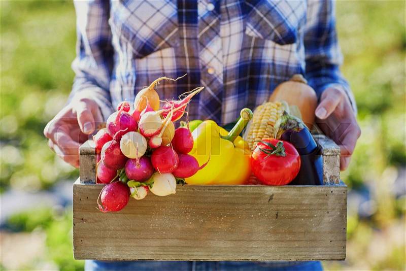 Woman holding wooden crate with fresh organic vegetables from farm, stock photo